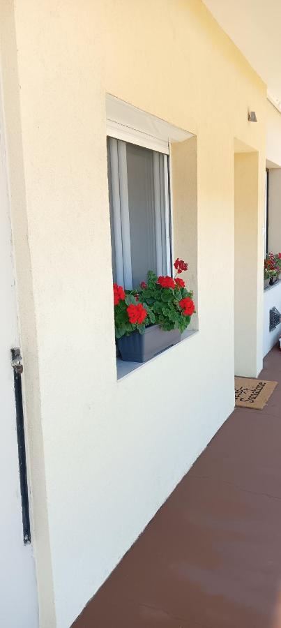 David Apartman Apartment Siofok Luaran gambar